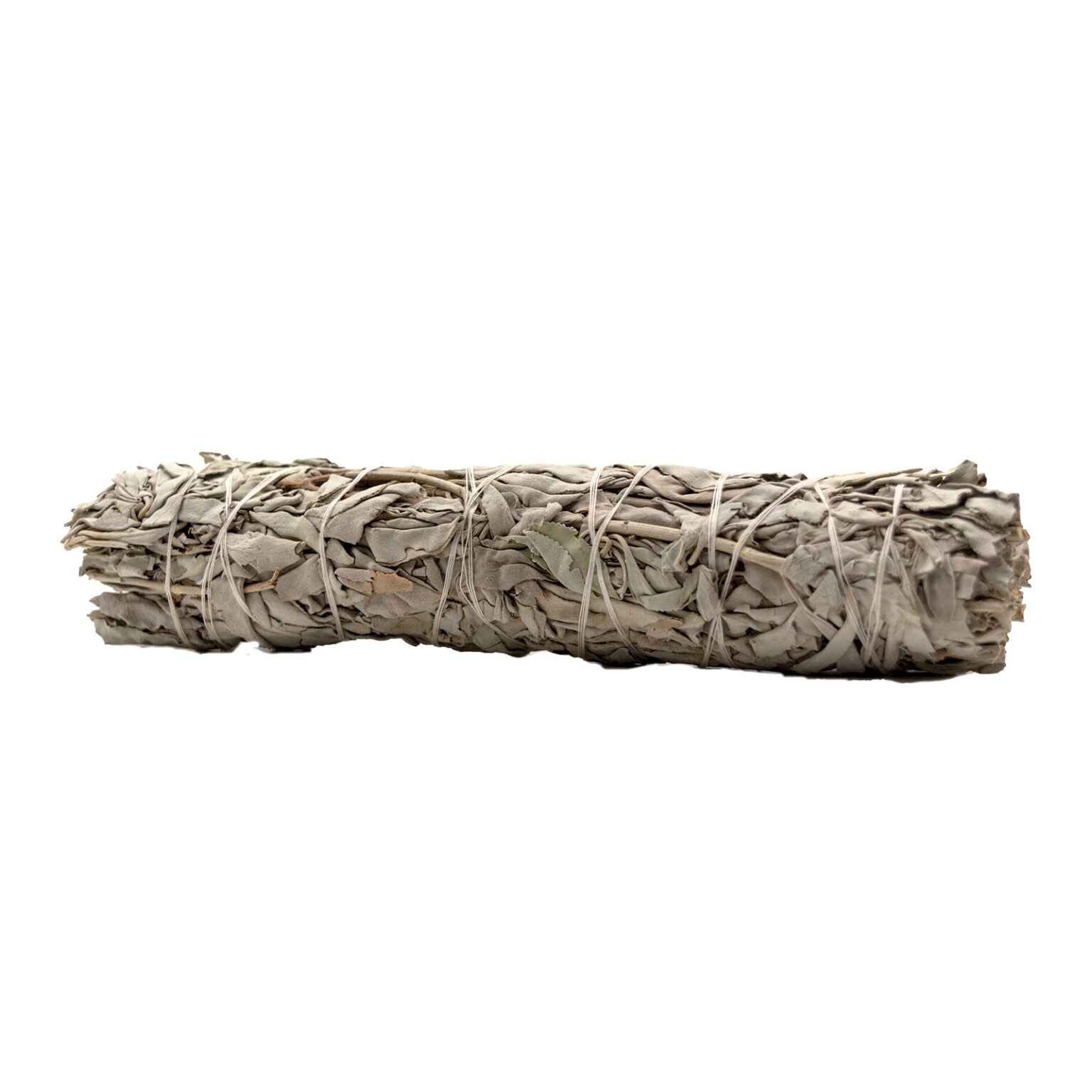 SALVIA GRANDE