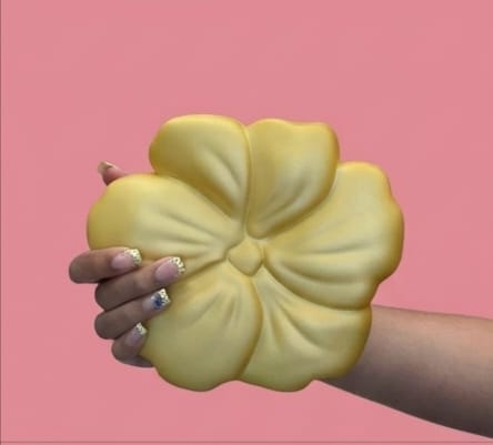 BOLSO